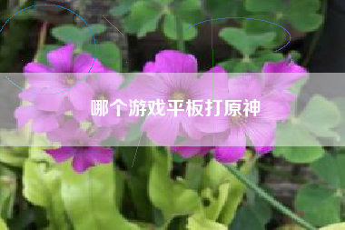 哪个游戏平板打原神