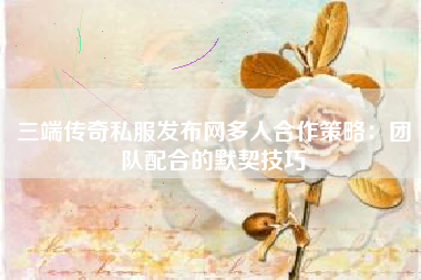 三端传奇私服发布网多人合作策略：团队配合的默契技巧