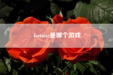 fortnite是哪个游戏