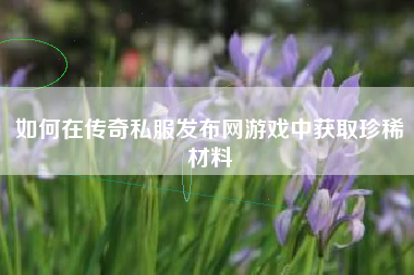 如何在传奇私服发布网游戏中获取珍稀材料