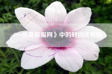 sf999传奇新服网》中的时间线解析