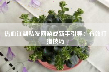 热血江湖私发网游戏新手引导：有效打猎技巧