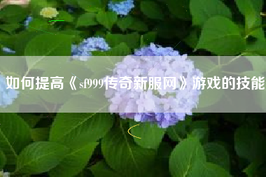 如何提高《sf999传奇新服网》游戏的技能