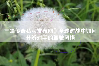 三端传奇私服发布网》全球对战中如何分辨对手的驾驶风格