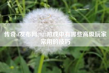 传奇sf发布网2023游戏中有哪些高级玩家常用的技巧