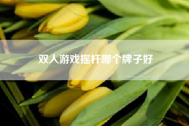 双人游戏摇杆哪个牌子好