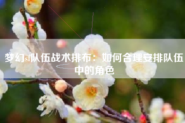 梦幻sf队伍战术排布：如何合理安排队伍中的角色