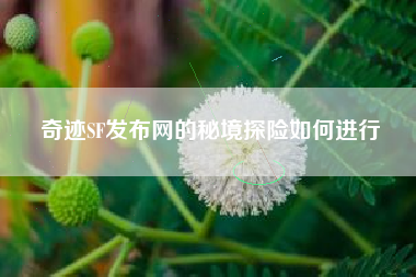 奇迹SF发布网的秘境探险如何进行