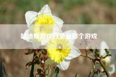 哈迪斯游戏目录是哪个游戏