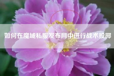 如何在魔域私服发布网中进行战术投掷