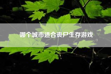 哪个城市适合丧尸生存游戏