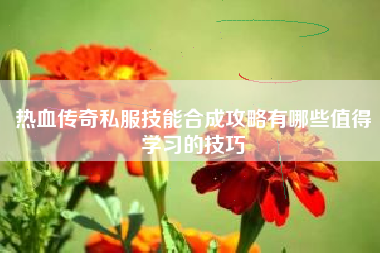 热血传奇私服技能合成攻略有哪些值得学习的技巧