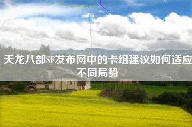 天龙八部SF发布网中的卡组建议如何适应不同局势