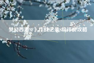 梦幻西游SF》作战记录S级评价攻略