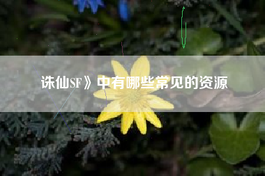 诛仙SF》中有哪些常见的资源