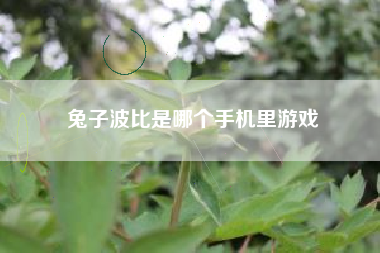 兔子波比是哪个手机里游戏