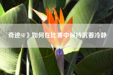 奇迹SF》如何在比赛中保持沉着冷静