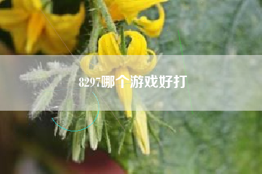 8297哪个游戏好打