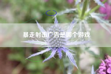 暴走射击广告是哪个游戏