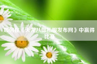 如何在《天龙八部私服发布网》中赢得比赛