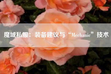 魔域私服：装备建议与“Mechanic”技术