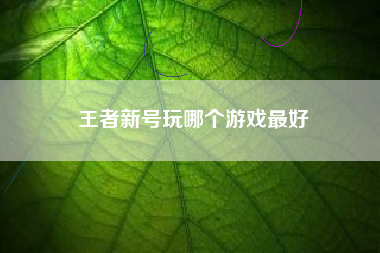 王者新号玩哪个游戏最好