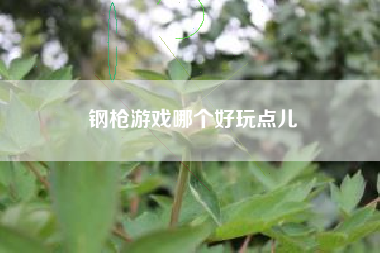 钢枪游戏哪个好玩点儿