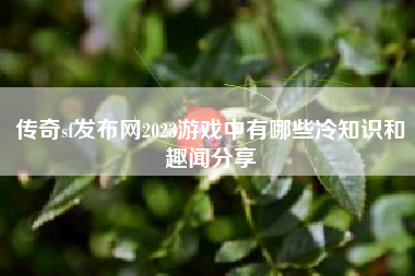 传奇sf发布网2023游戏中有哪些冷知识和趣闻分享