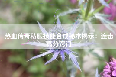 热血传奇私服技能合成秘术揭示：连击高分窍门