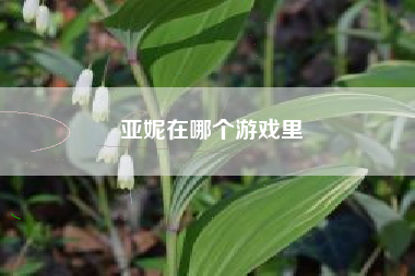 亚妮在哪个游戏里