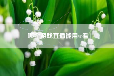 哪个游戏直播能用vr看