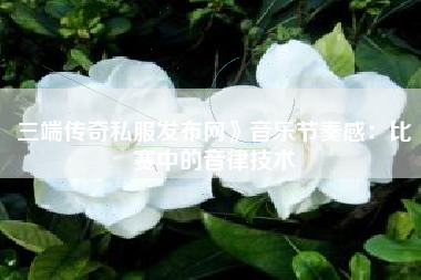 三端传奇私服发布网》音乐节奏感：比赛中的音律技术