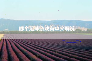 哪个足球游戏有中文解说