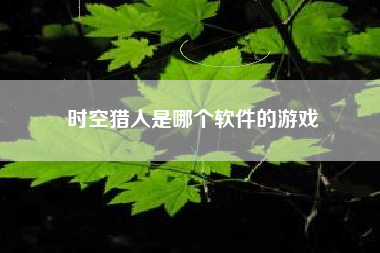 时空猎人是哪个软件的游戏