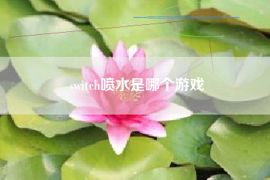 switch喷水是哪个游戏