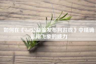 如何在《dnf公益服发布网游戏》中精确运用飞象的威力