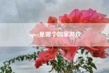 apex是哪个国家游戏