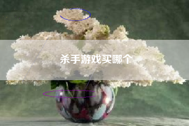 杀手游戏买哪个