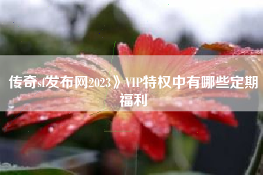 传奇sf发布网2023》VIP特权中有哪些定期福利