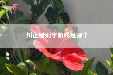 纠正错别字游戏是哪个