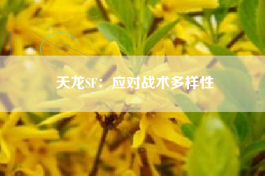 天龙SF：应对战术多样性