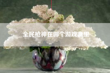 全民枪神在哪个游戏盒里