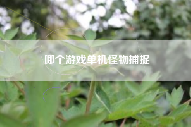 哪个游戏单机怪物捕捉