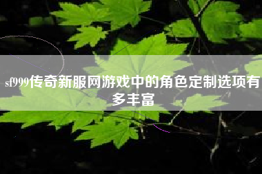 sf999传奇新服网游戏中的角色定制选项有多丰富