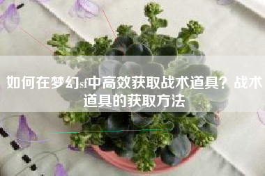 如何在梦幻sf中高效获取战术道具？战术道具的获取方法