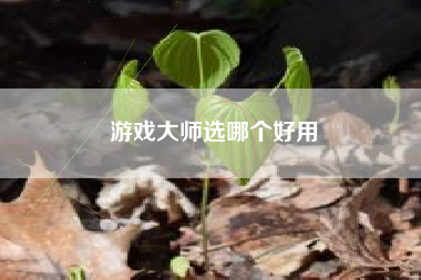 游戏大师选哪个好用