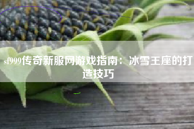 sf999传奇新服网游戏指南：冰雪王座的打造技巧