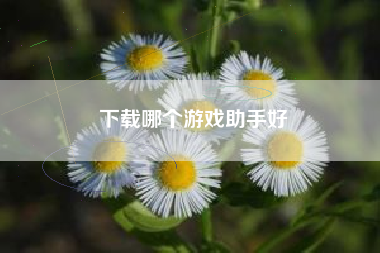 下载哪个游戏助手好