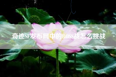 奇迹SF发布网中的BOSS战怎么挑战