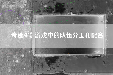 奇迹SF》游戏中的队伍分工和配合